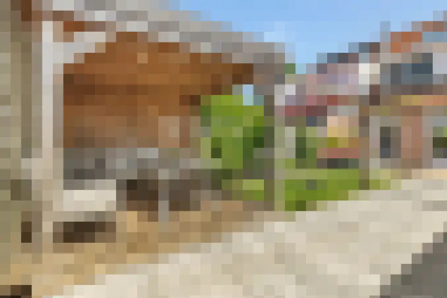 Pauwoog 94 Zeewolde thumbnail 38
