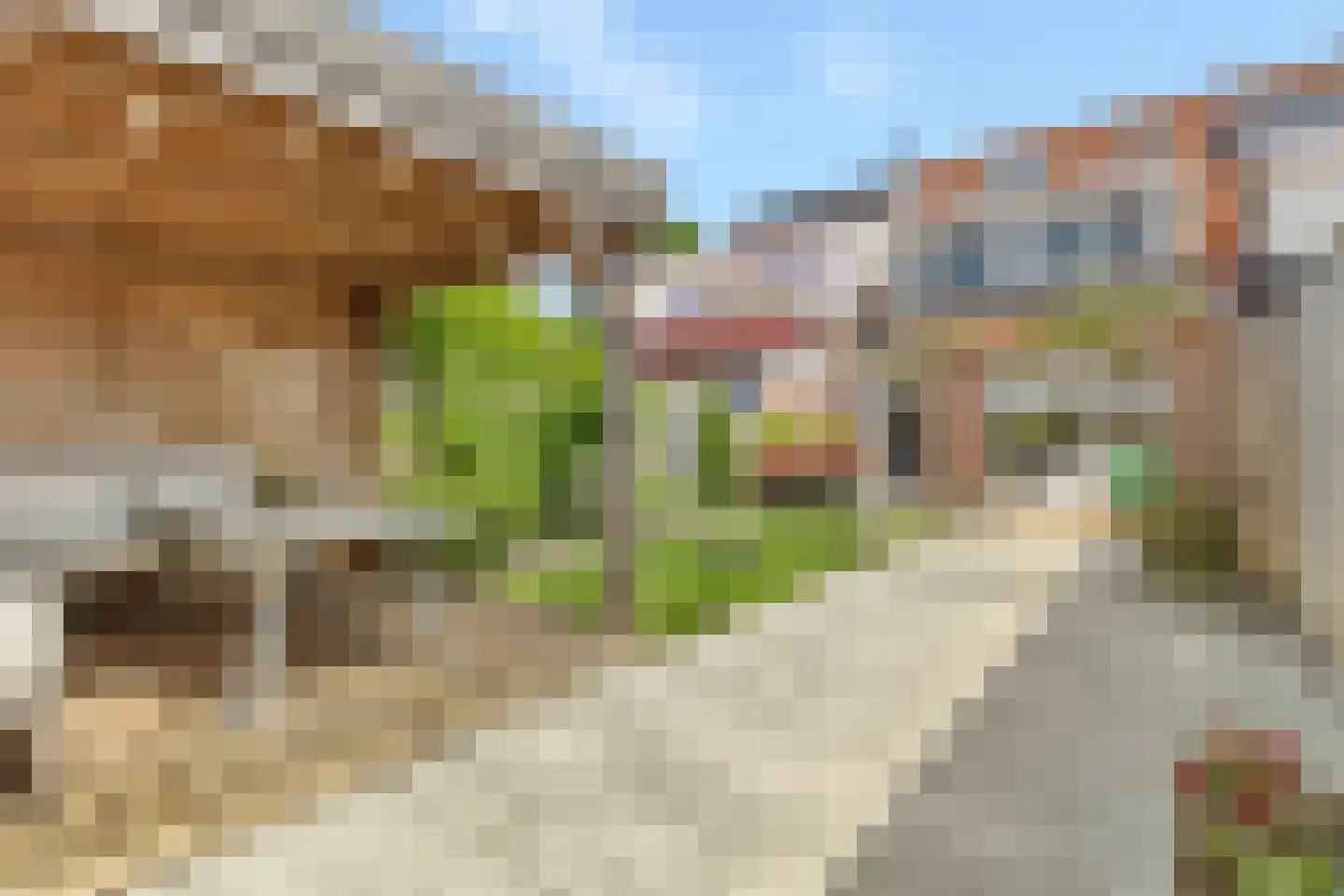 Pauwoog 94 Zeewolde thumbnail 39
