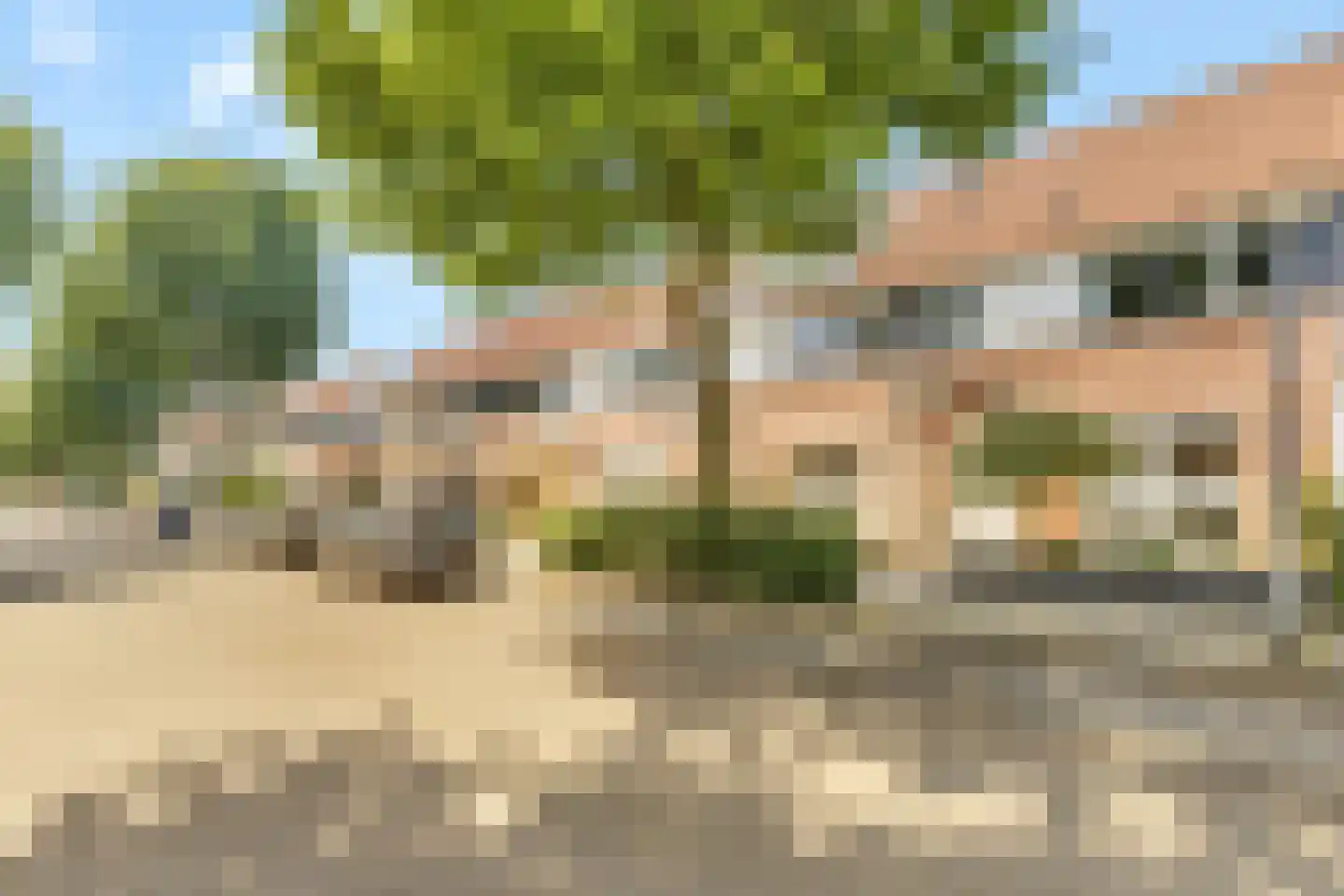 Pauwoog 94 Zeewolde thumbnail 4