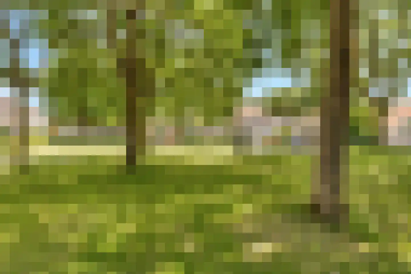 Pauwoog 94 Zeewolde thumbnail 41