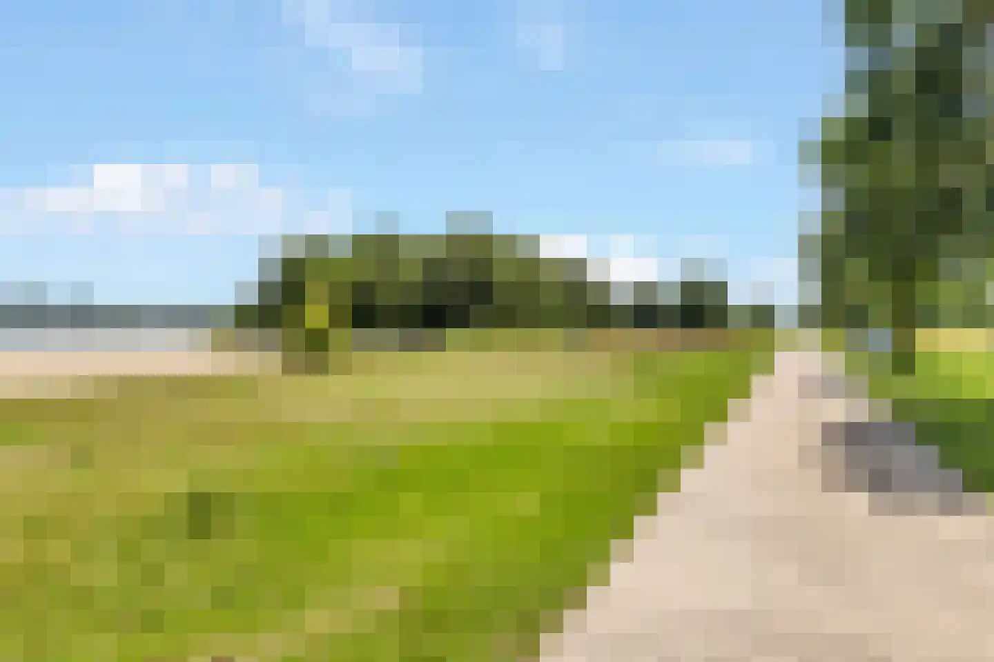 Pauwoog 94 Zeewolde thumbnail 43