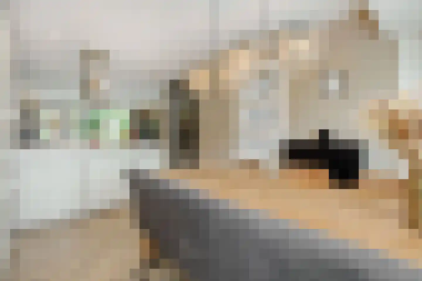 Pauwoogpad 11 Rosmalen thumbnail 11