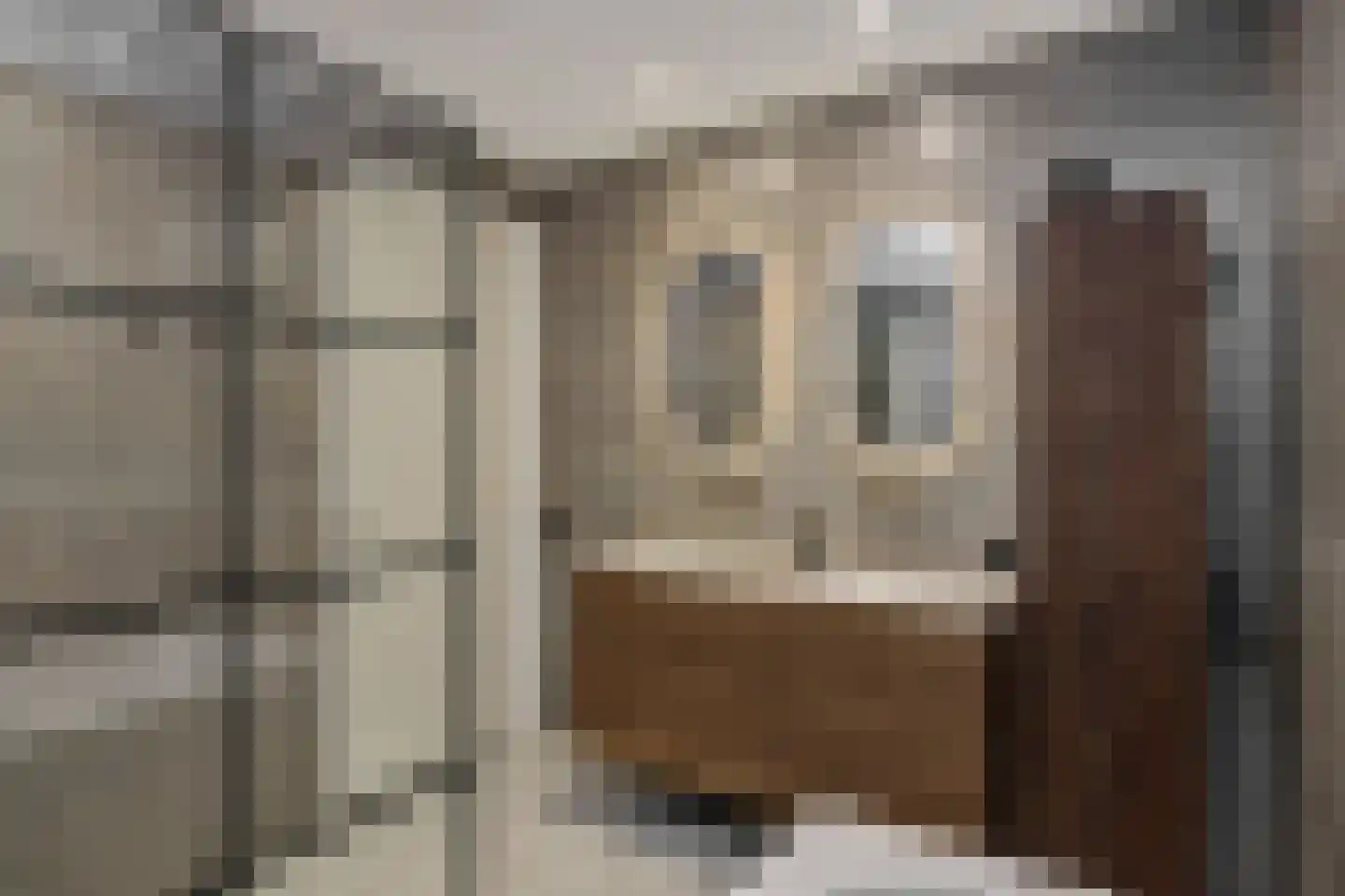 Pauwoogpad 11 Rosmalen thumbnail 20
