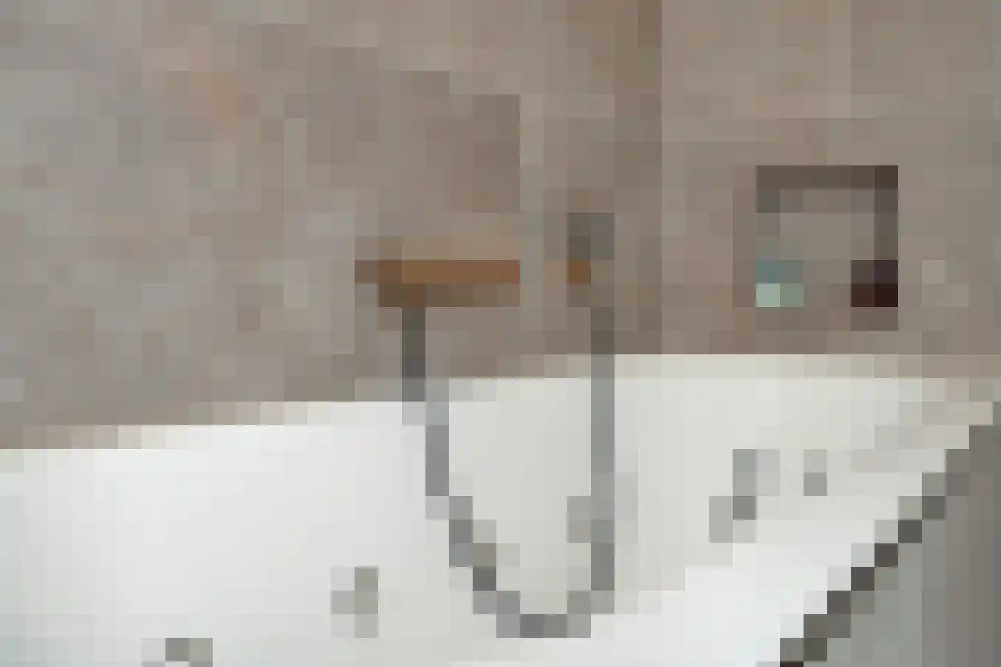 Pauwoogpad 11 Rosmalen thumbnail 21