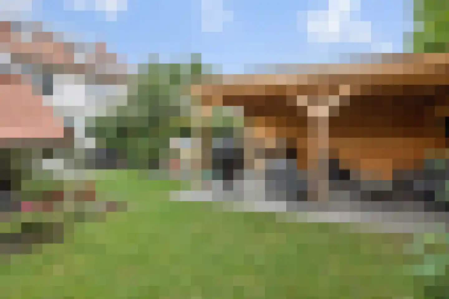 Pauwoogpad 11 Rosmalen thumbnail 34