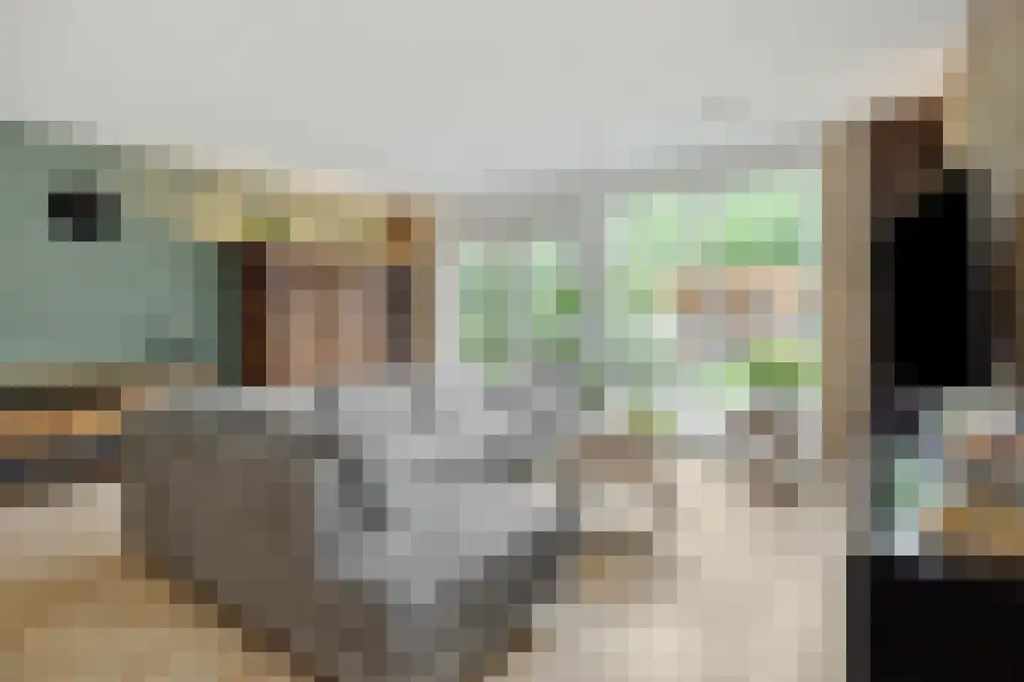 Pauwoogpad 11 Rosmalen thumbnail 5