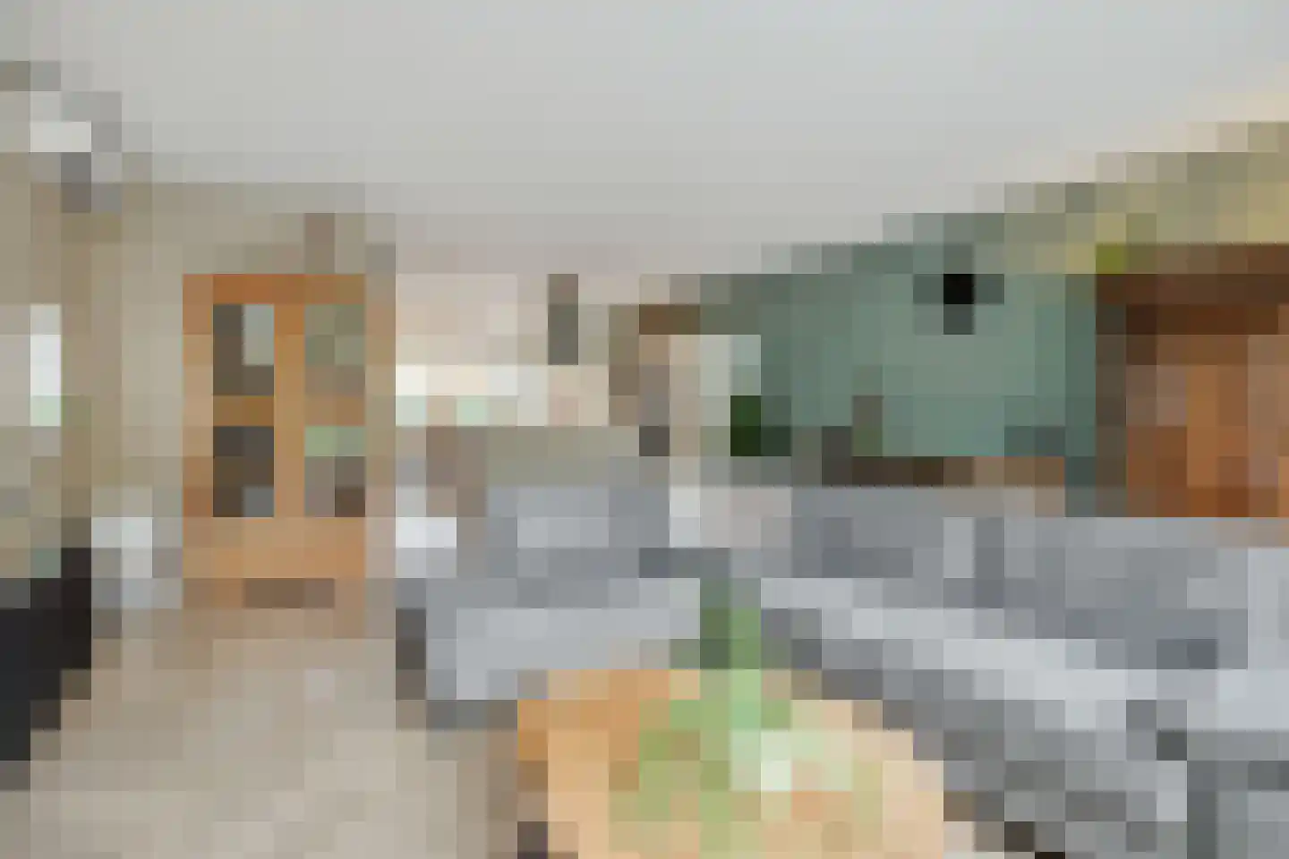 Pauwoogpad 11 Rosmalen thumbnail 7