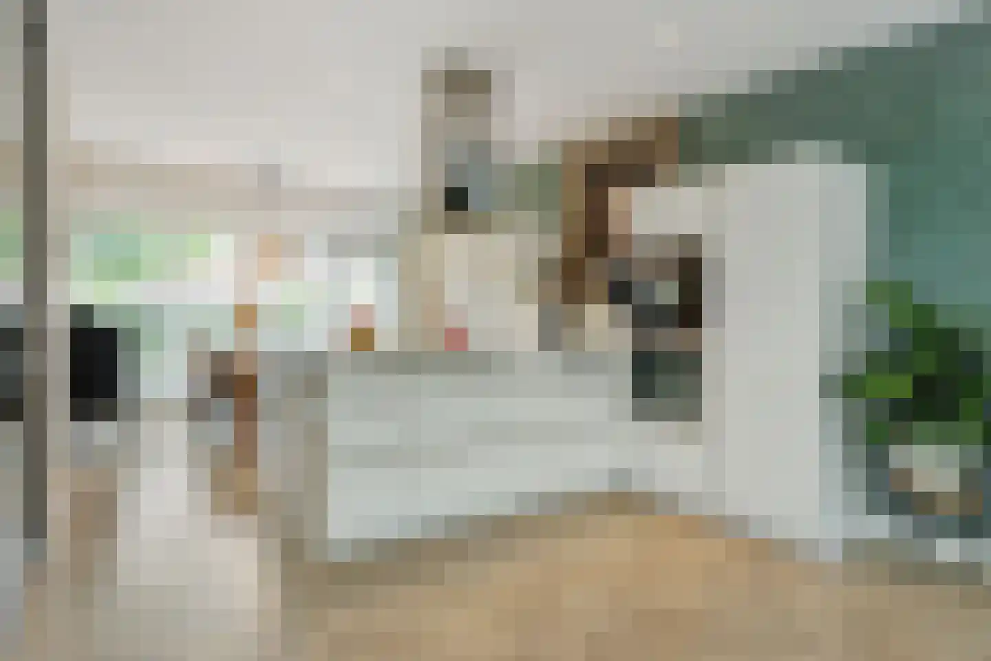 Pauwoogpad 11 Rosmalen thumbnail 8