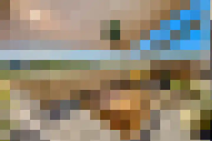 Pauwoogvlinder 36 B Utrecht thumbnail 13