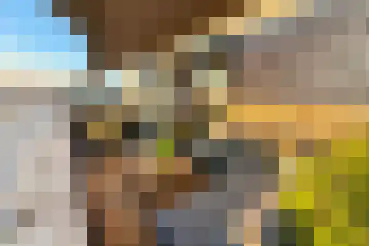 Pauwoogvlinder 36 B Utrecht thumbnail 14