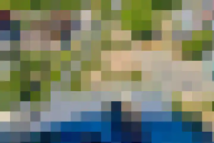 Pauwoogvlinder 36 B Utrecht thumbnail 18
