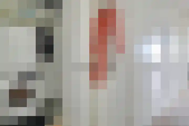 Pauwoogvlinder 36 B Utrecht thumbnail 26