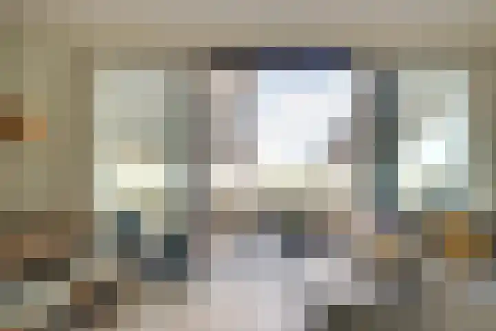 Pauwoogvlinder 36 B Utrecht thumbnail 29