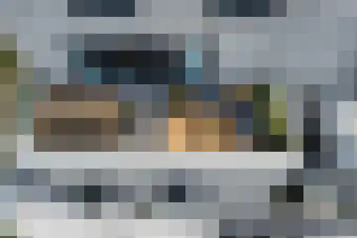 Pauwoogvlinder 36 B Utrecht thumbnail 32