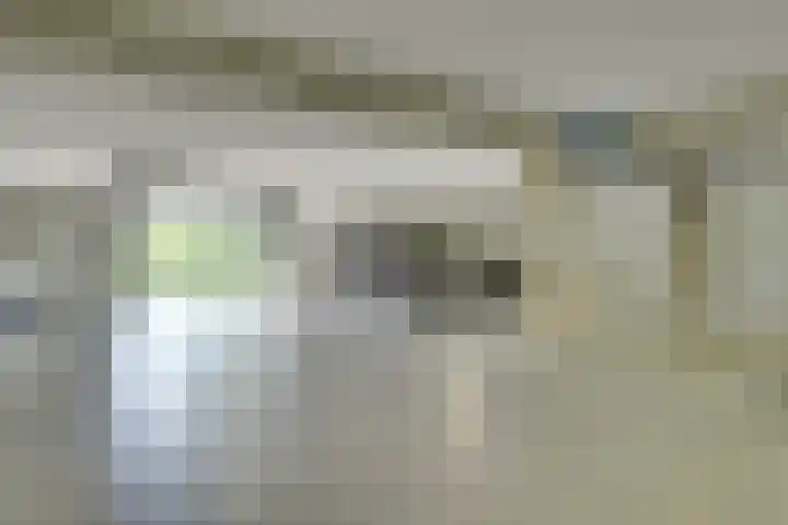 Pauwoogvlinder 36 B Utrecht thumbnail 36