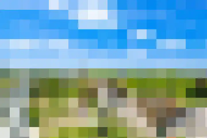 Pauwoogvlinder 36 B Utrecht thumbnail 39