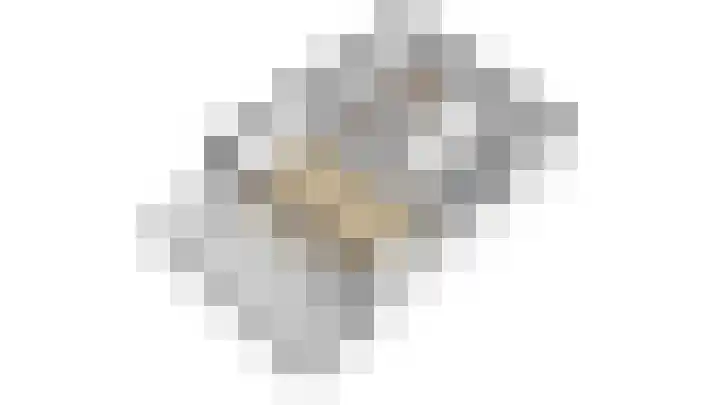 Pauwoogvlinder 36 B Utrecht thumbnail 42
