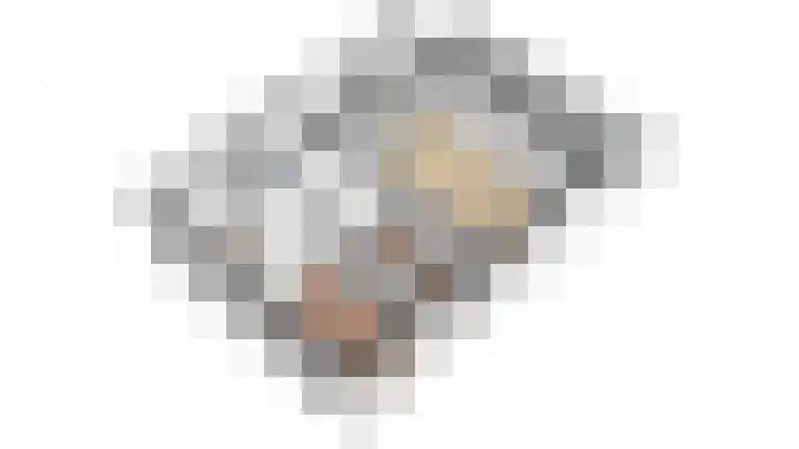 Pauwoogvlinder 36 B Utrecht thumbnail 43