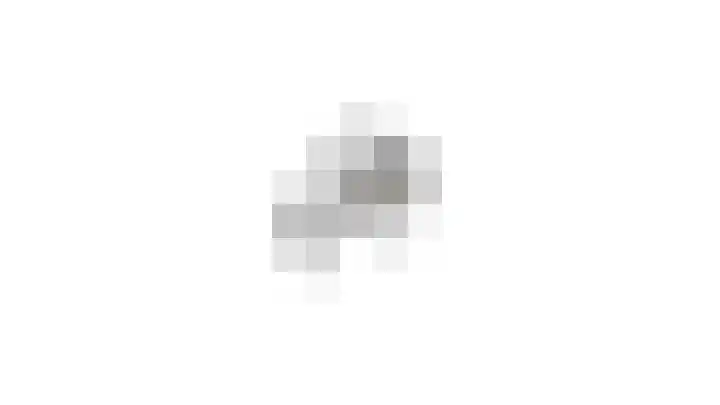 Pauwoogvlinder 36 B Utrecht thumbnail 45