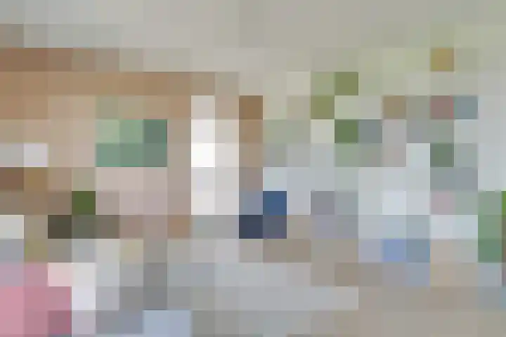 Pauwoogvlinder 36 B Utrecht thumbnail 7