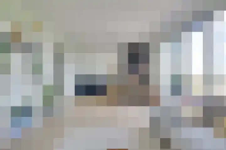 Pauwoogvlinder 36 B Utrecht thumbnail 8