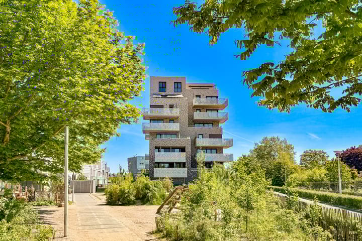 Pauwoogvlinder 36C in Utrecht photo