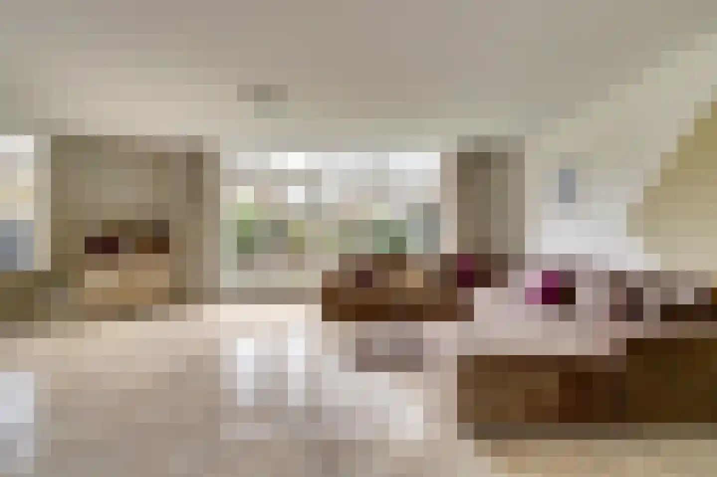 Pauwoogweide 1 Nieuwegein thumbnail 11