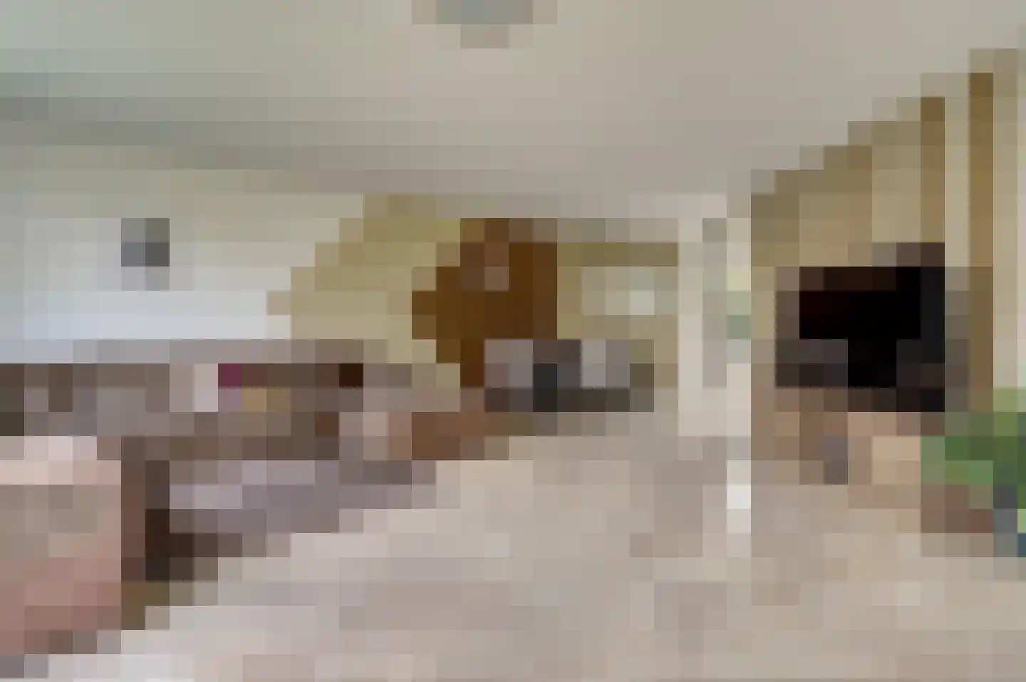 Pauwoogweide 1 Nieuwegein thumbnail 12