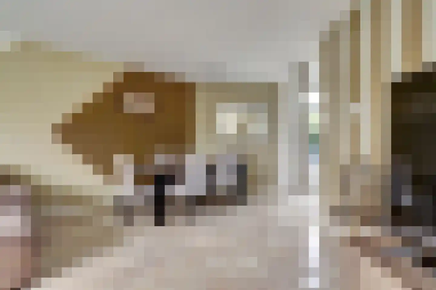 Pauwoogweide 1 Nieuwegein thumbnail 13