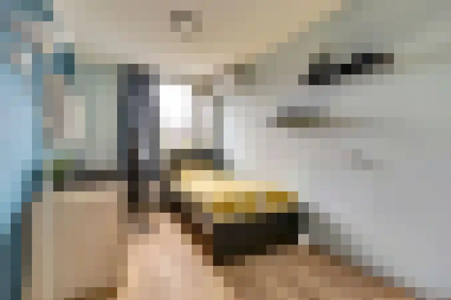 Pauwoogweide 1 Nieuwegein thumbnail 27