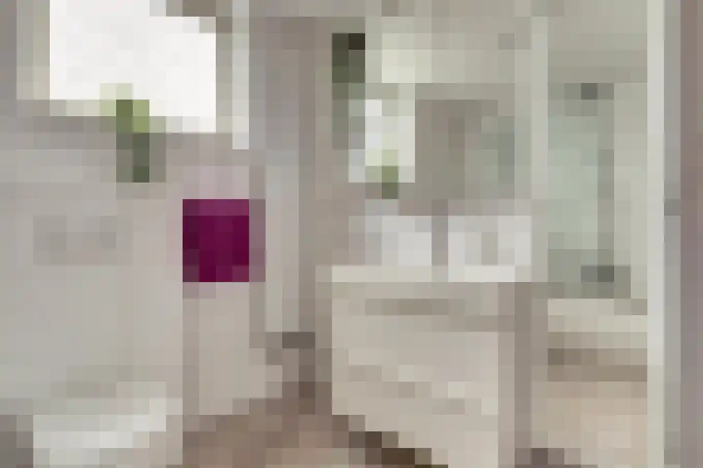 Pauwoogweide 1 Nieuwegein thumbnail 33