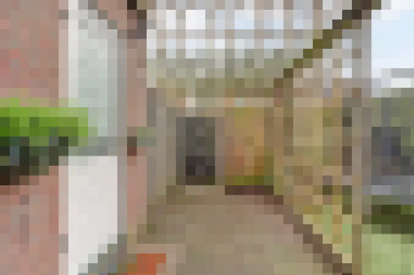 Pauwoogweide 1 Nieuwegein thumbnail 48