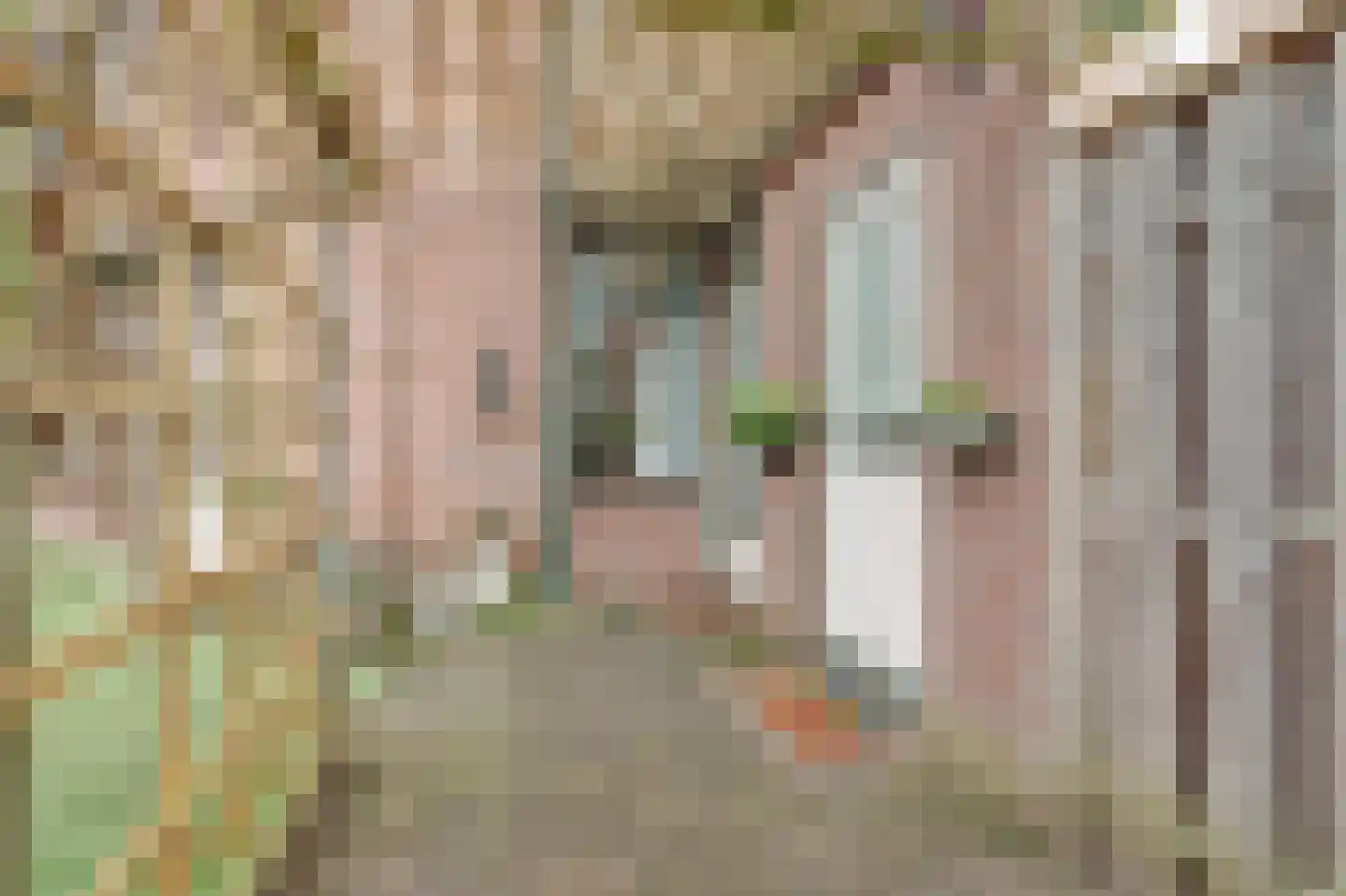 Pauwoogweide 1 Nieuwegein thumbnail 49