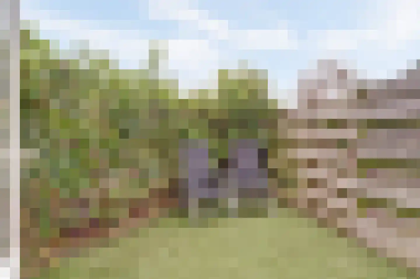 Pauwoogweide 1 Nieuwegein thumbnail 50
