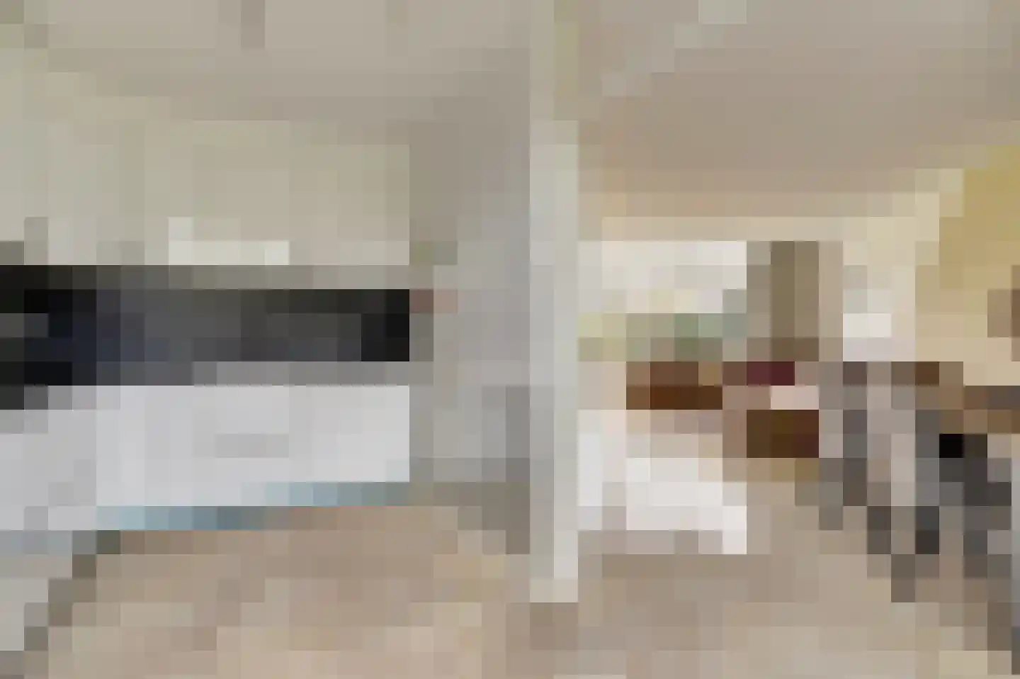 Pauwoogweide 1 Nieuwegein thumbnail 6