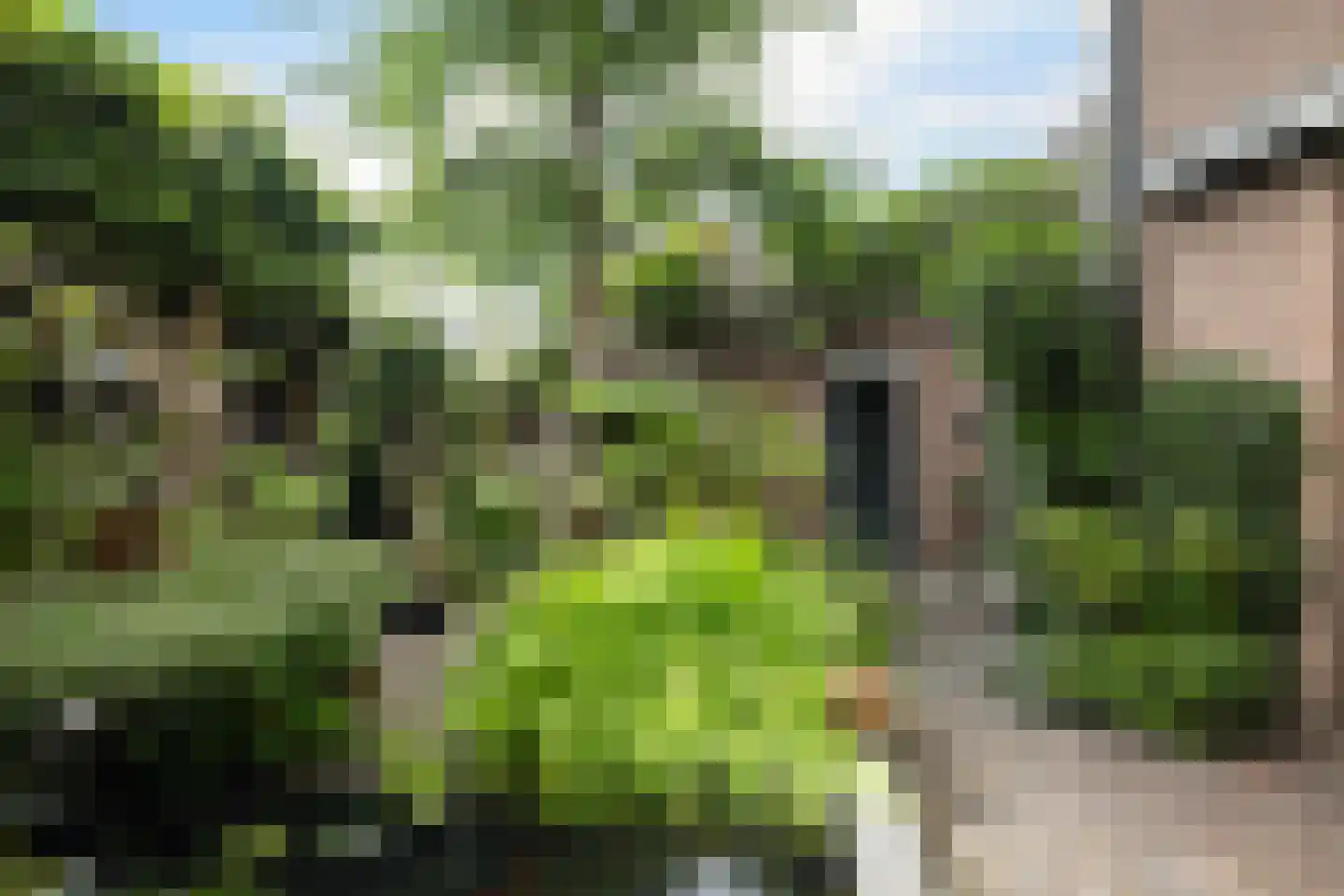 Pauwoogweide 51 Nieuwegein thumbnail 11
