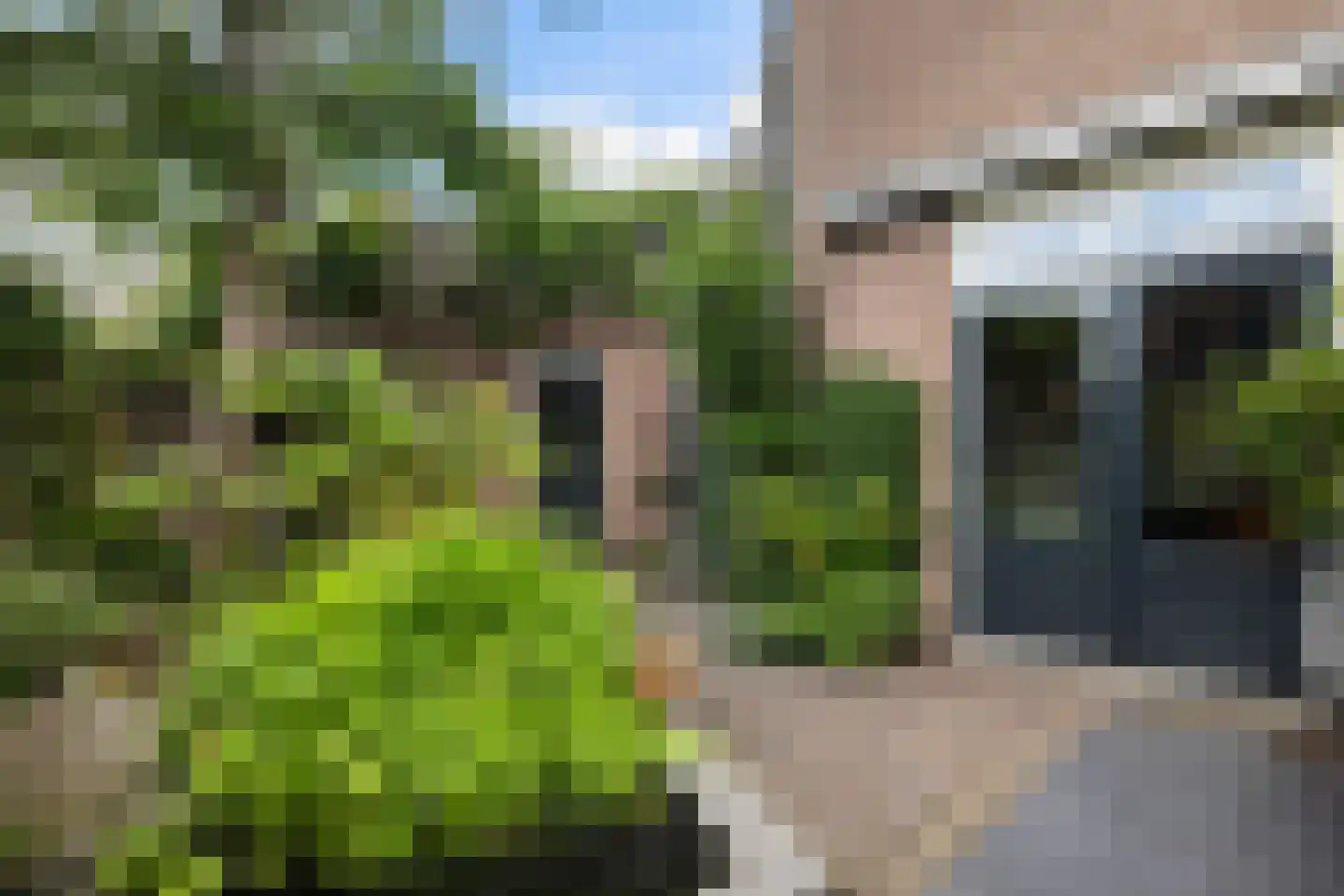 Pauwoogweide 51 Nieuwegein thumbnail 12