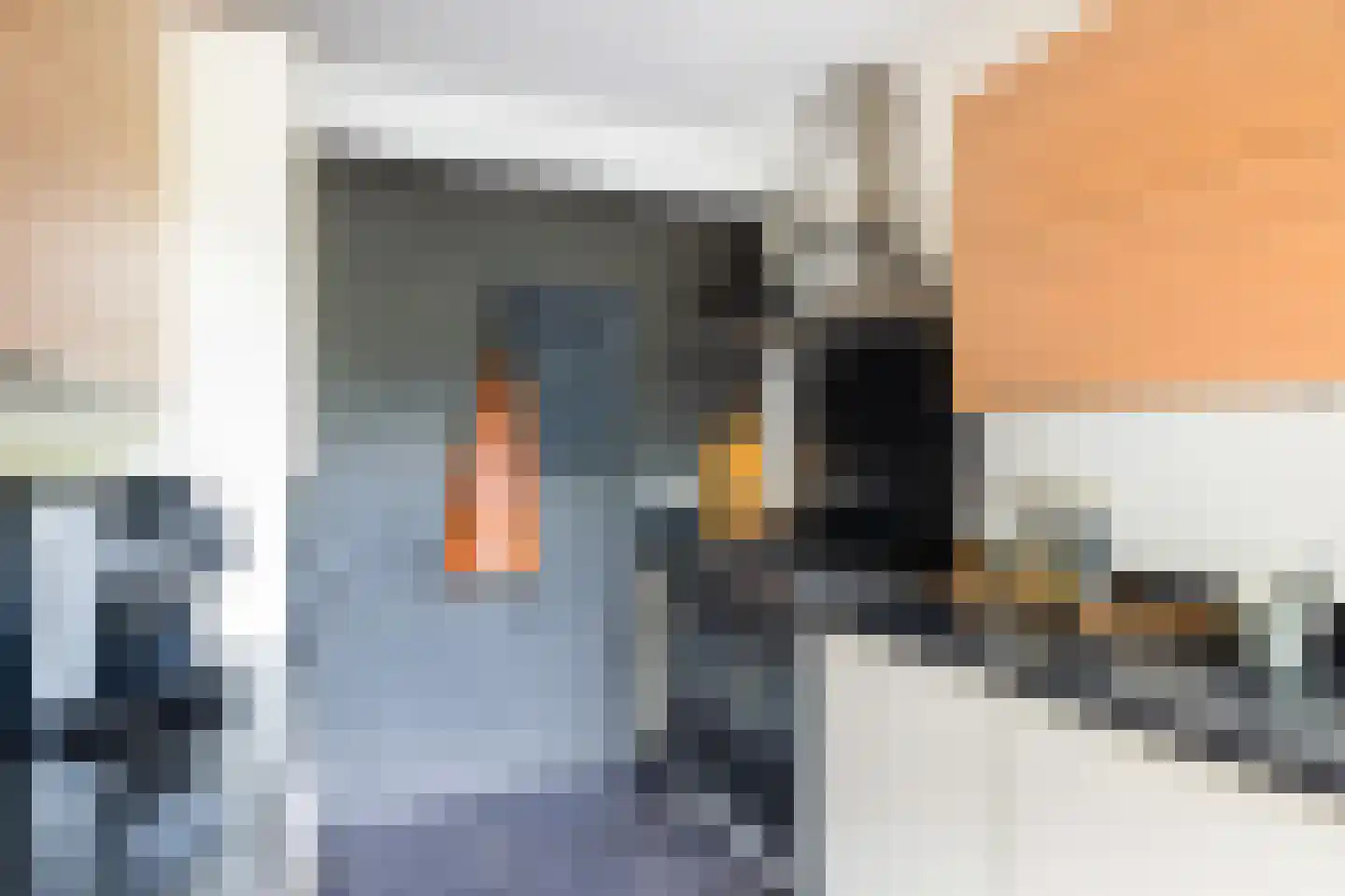 Pauwoogweide 51 Nieuwegein thumbnail 16