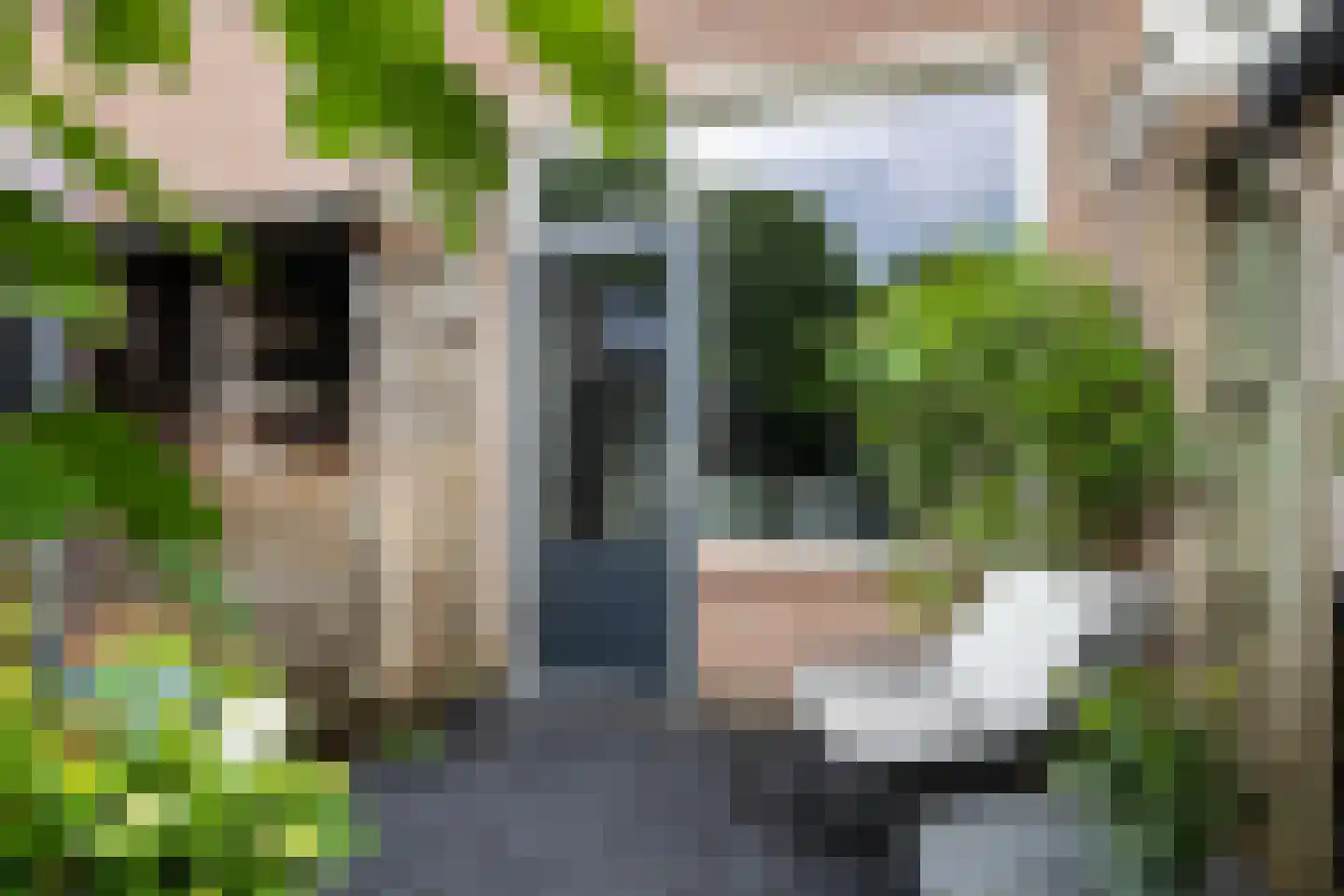 Pauwoogweide 51 Nieuwegein thumbnail 19