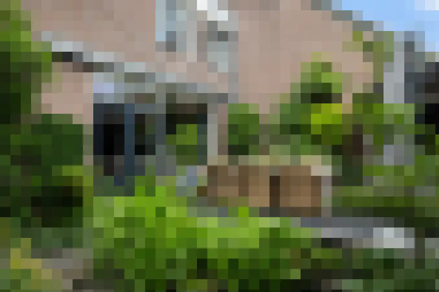 Pauwoogweide 51 Nieuwegein thumbnail 46