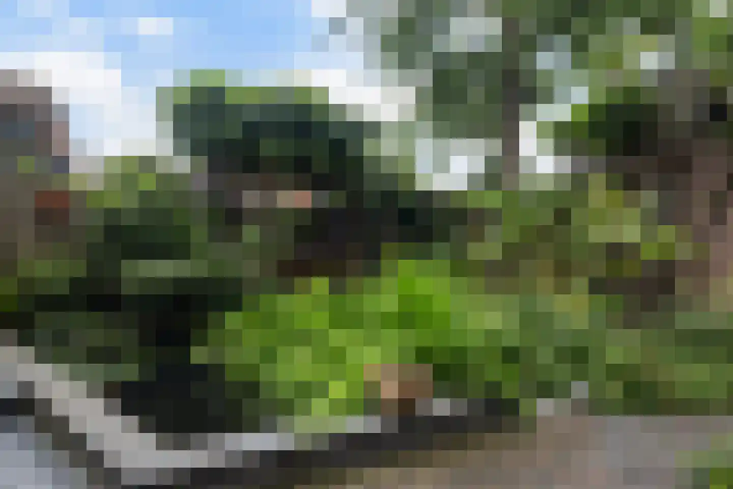 Pauwoogweide 51 Nieuwegein thumbnail 47