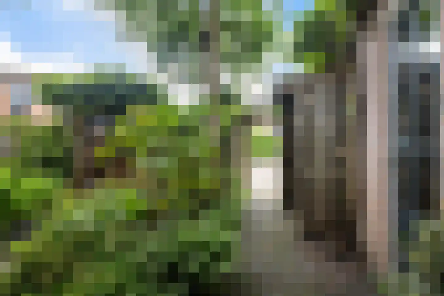 Pauwoogweide 51 Nieuwegein thumbnail 49