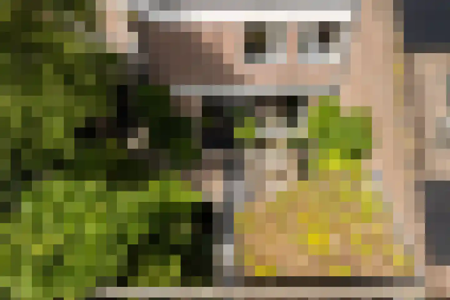 Pauwoogweide 51 Nieuwegein thumbnail 50