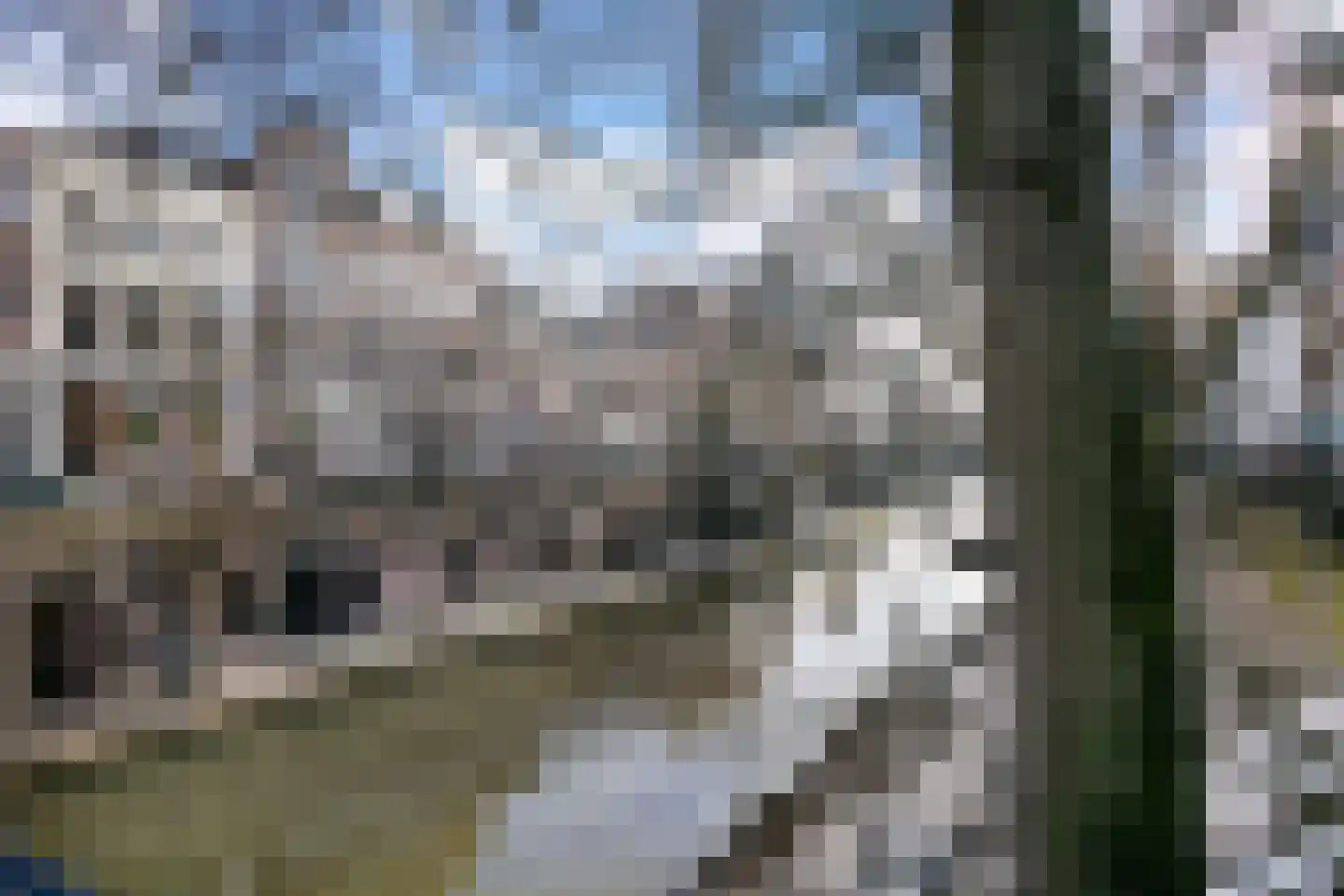 Pauwstraat 1 A Utrecht thumbnail 20