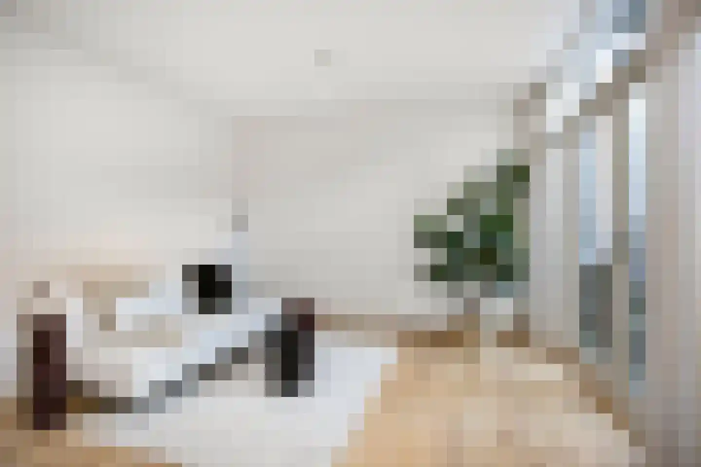 Pauwstraat 1 A Utrecht thumbnail 6