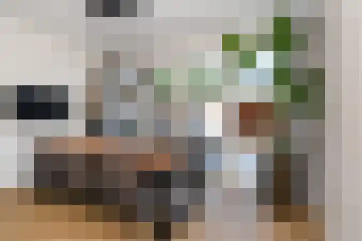 Pauwstraat 1 Voorburg thumbnail 17