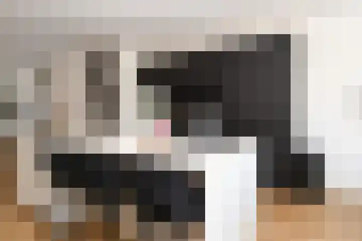 Pauwstraat 1 Voorburg thumbnail 21