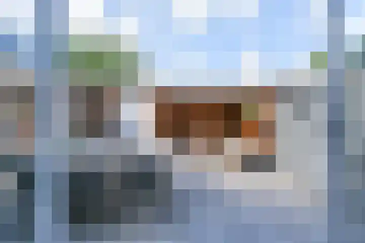 Pauwstraat 1 Voorburg thumbnail 26