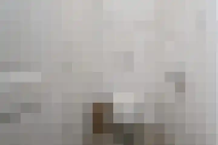 Pauwstraat 1 Voorburg thumbnail 27