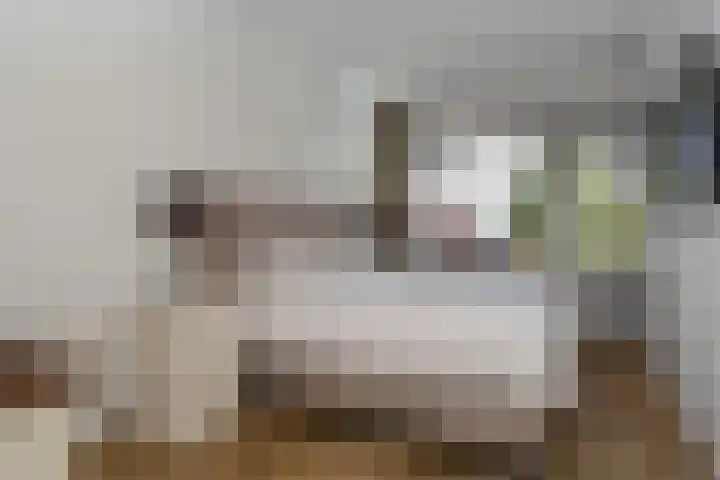 Pauwstraat 1 Voorburg thumbnail 29